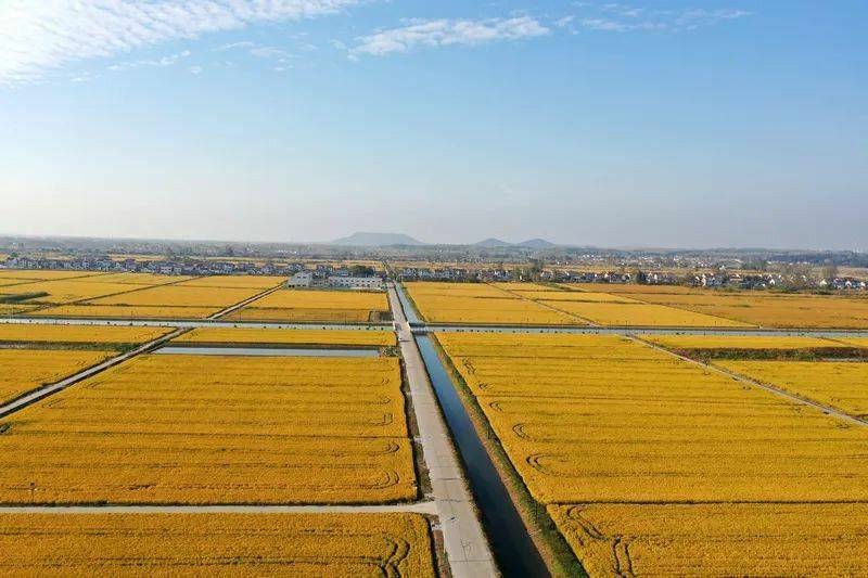 1715048973128497.jpg 640.jpg